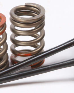 Steel Intake Valve/Spring Kit