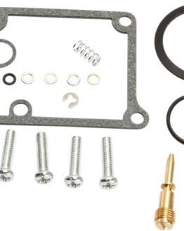 Carburetor Repair Kit
