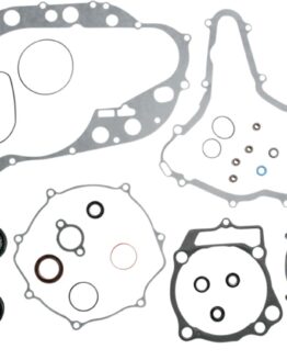 Complete Gasket Kit w/Oil Seals