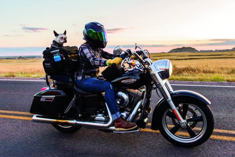 Kuryakyn Grand Pet Palace Motorcycle Pet Carrier - Image 5