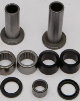 Swing Arm Bearing Kit
