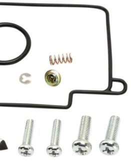 Carburetor Repair Kit