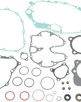 Complete Gasket Kit w/Oil Seals