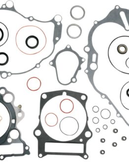 Complete Gasket Kit w/Oil Seals