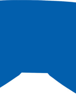 Fly Blue/Smoke Replacement Lens w/ Posts for Youth Zone/Focus Goggle