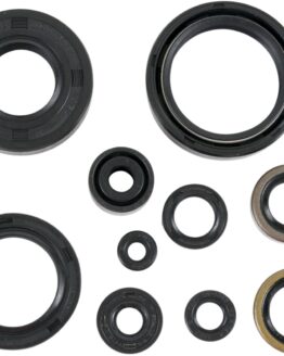 Oil Seal Kit