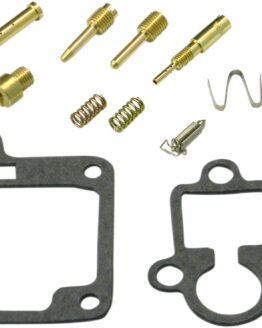 Carburetor Repair Kit