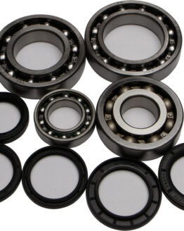 Rear Differential Bearing & Seal Kit