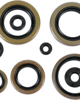 Oil Seal Kit