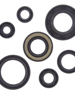 Vertex Engine Oil Seal Kit Fits 88-06 Yamaha YFS200 Blaster