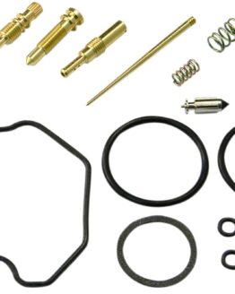 Carburetor Repair Kit