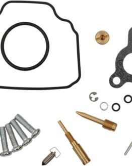 Carburetor Repair Kit