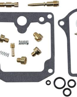 Carburetor Repair Kit