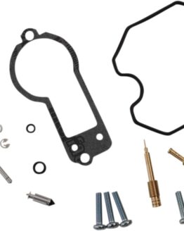 Carburetor Repair Kit