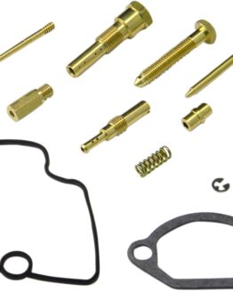 Carburetor Repair Kit