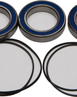 Wheel Bearing & Seal Kit