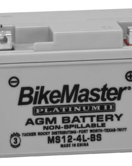 AGM Platinum II Battery