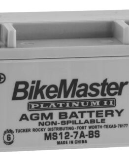 AGM Platinum II Battery
