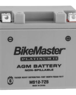 AGM Platinum II Battery