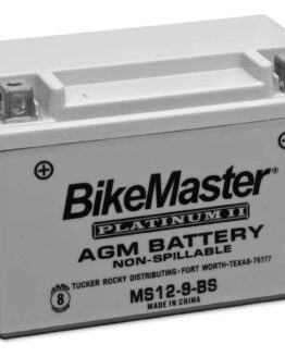 AGM Platinum II Battery