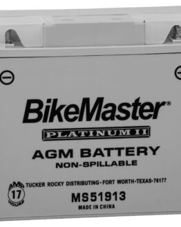 AGM Platinum II Battery