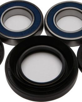 Wheel Bearing & Seal Kit