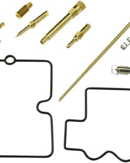 Carburetor Repair Kit