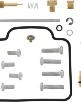 Carburetor Repair Kit
