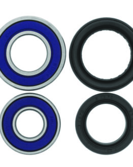 01-21 Honda TRX250EX/X SporTrax Front ATV Wheel Bearing & Seal Kit
