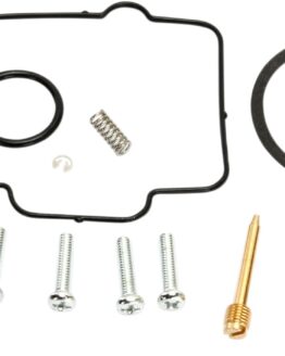 Carburetor Repair Kit
