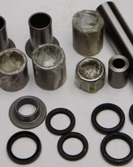 Swing Arm Linkage Bearing & Seal Kit