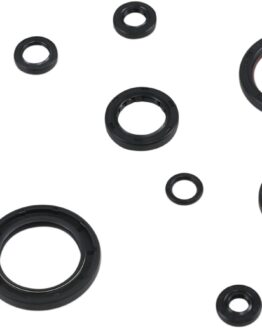 Oil Seal Kit