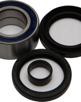 Wheel Bearing & Seal Kit