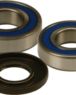 Wheel Bearing & Seal Kit