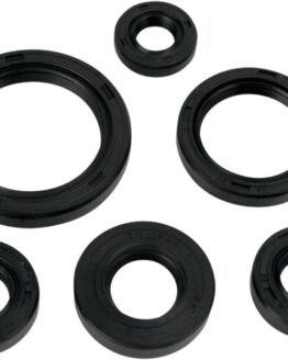 Oil Seal Kit