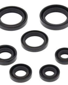Vertex Oil Seal Kit Fits 2000-2006 Honda TRX350FE