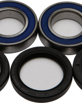 Wheel Bearing & Seal Kit