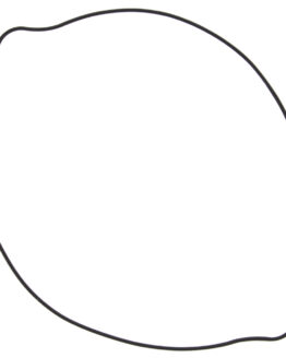 Outer Clutch Gasket Kit