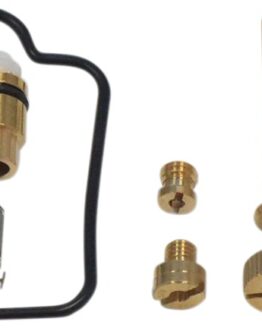 Carburetor Repair Kit