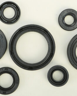Vertex Oil Seal Kit Fits 83-06 Yamaha PW80