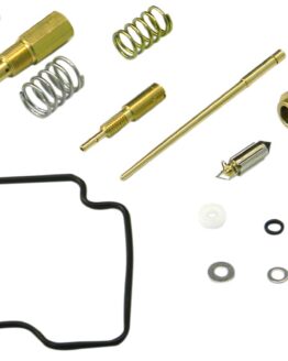 Carburetor Repair Kit