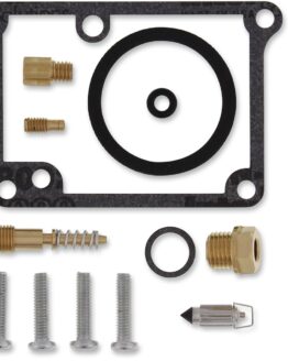 Carburetor Repair Kit