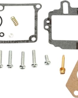 Carburetor Repair Kit