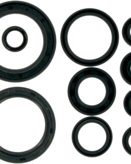 Oil Seal Kit