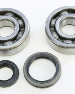 Crankshaft Bearing & Seal Kit