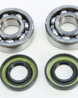 Crankshaft Bearing & Seal Kit