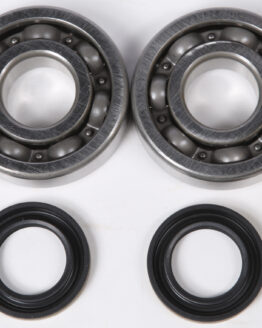 Crankshaft Bearing & Seal Kit