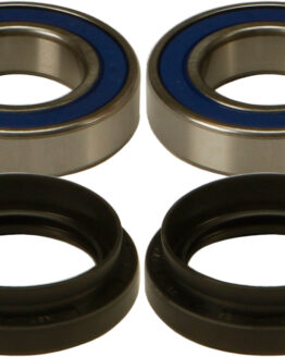 Wheel Bearing & Seal Kit