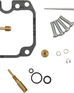 Carburetor Repair Kit