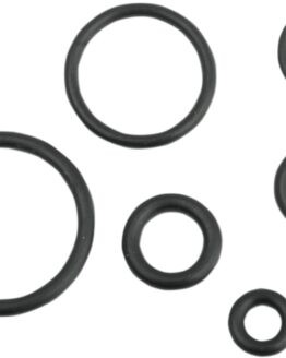 O-Ring Kit For H-D Delphi EFI Fuel Lines